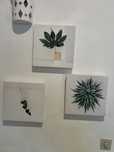 Conjunto 3 quadros