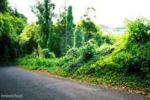 Terreno  para venda