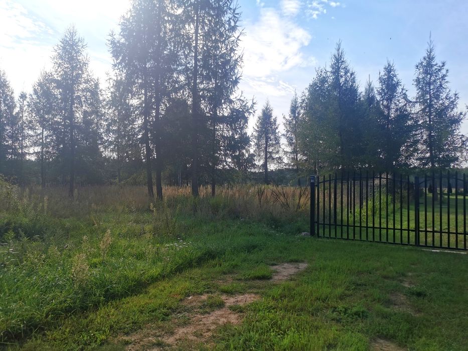 Modzele Bartłomieje 1561 m2 - warunki zabudowy, drzewa, blisko zalewu