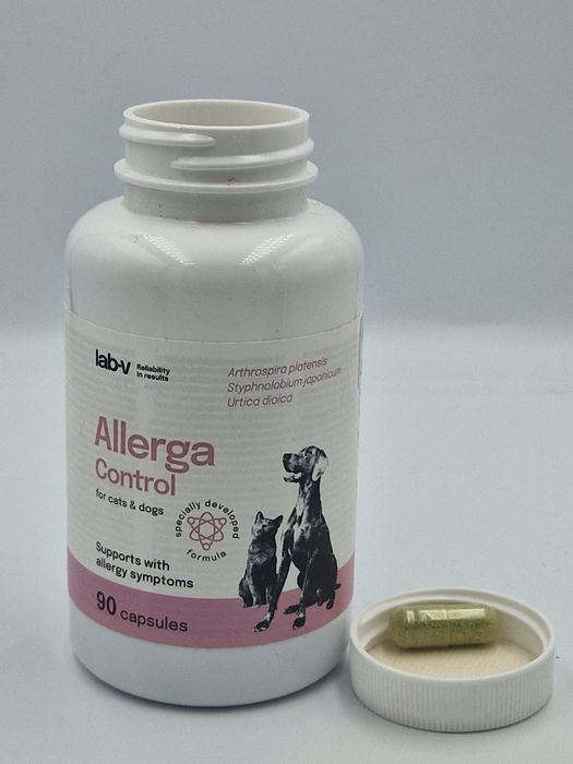 Lab-v Allegra Control kapsułki dla psa i kota na alergię alergia