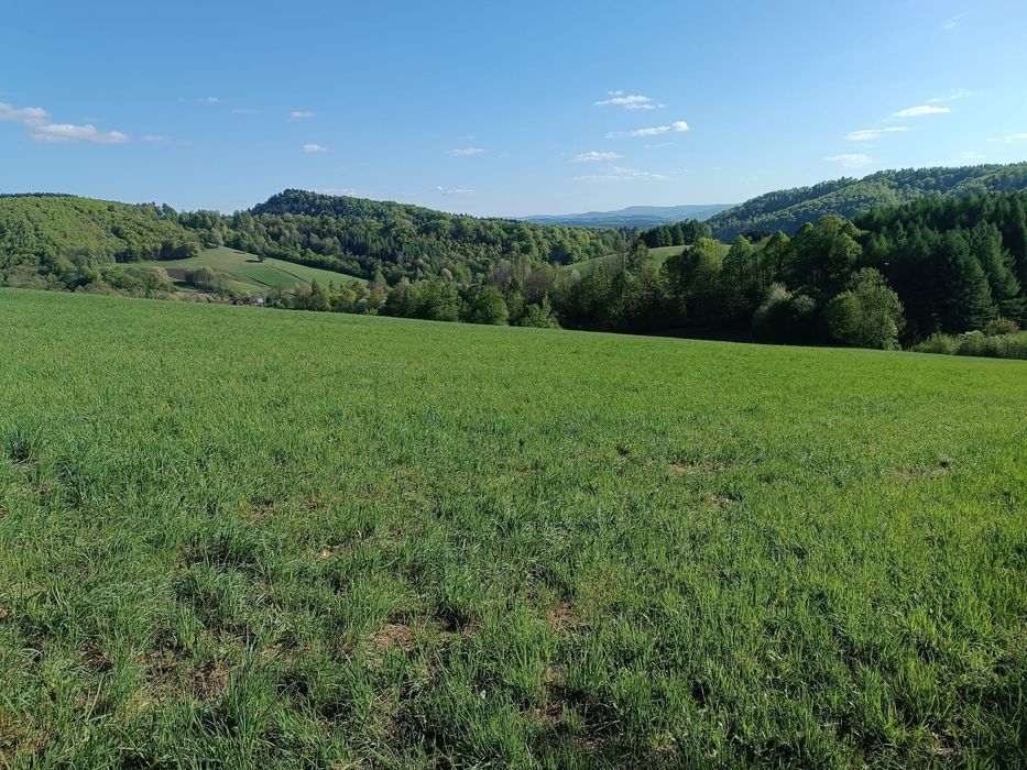 Działka rekreacyjna - Wujskie k. Sanoka, widok na Bieszczady