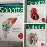 3 atlasy anatomiczne Sobotta