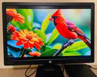 Монитор HP EliteDisplay E242 диагональ 24" IPS WLED 1920x1200 (16:10)