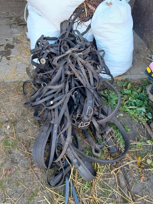 Uprząż puszor szor robocze lejce oglowia uprząż konna