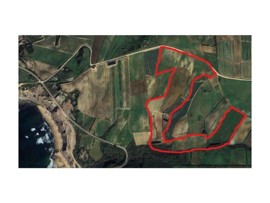 Terreno Com 12 Hectares Na Zona De Paimogo - Lourinhã