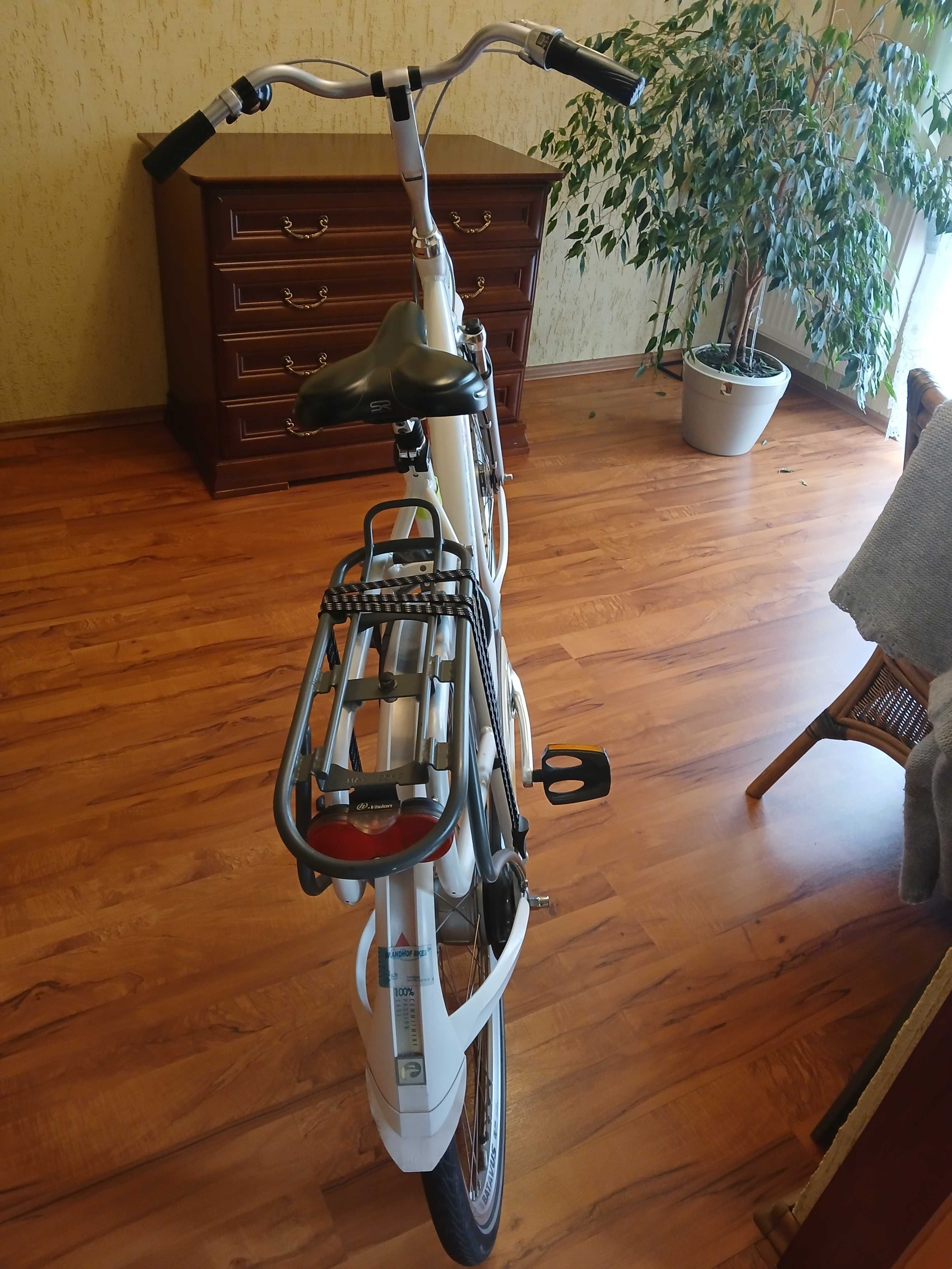 Rower Batavus Mambo