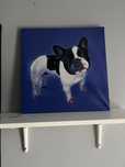 Nowy obraz Buldog Fracuski