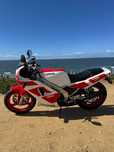 Yamaha TZR  250 2MA