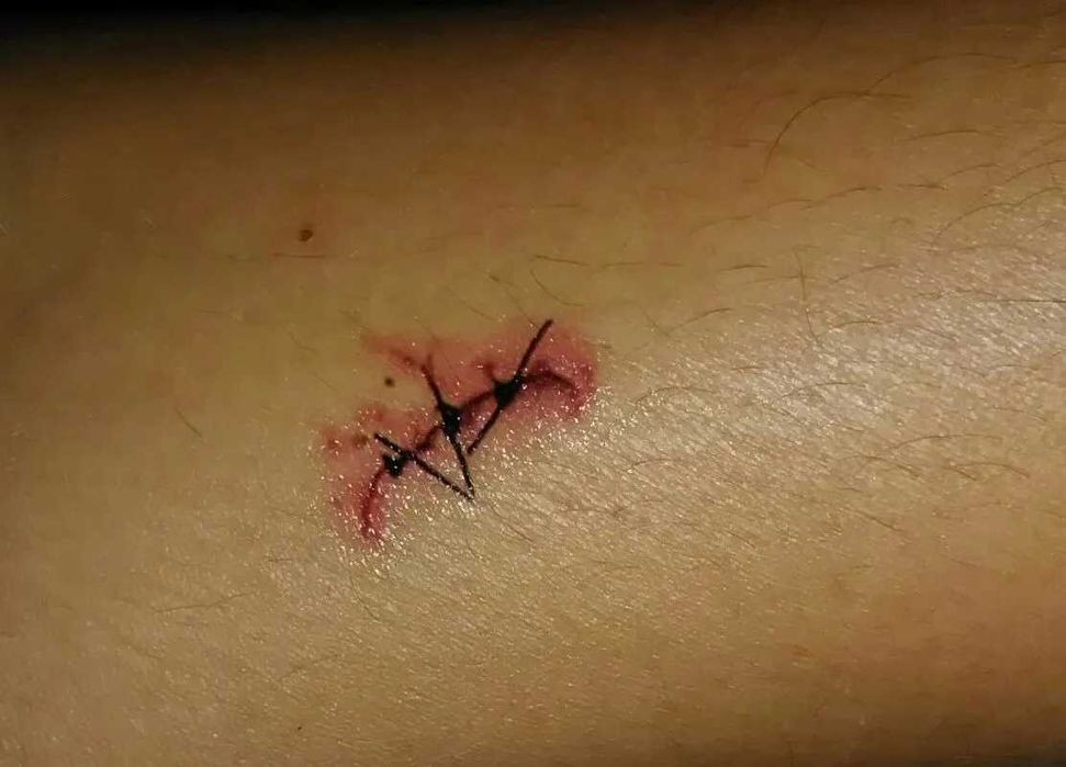 Halloween Walking Day Tattoo fake temporário terror cicatriz