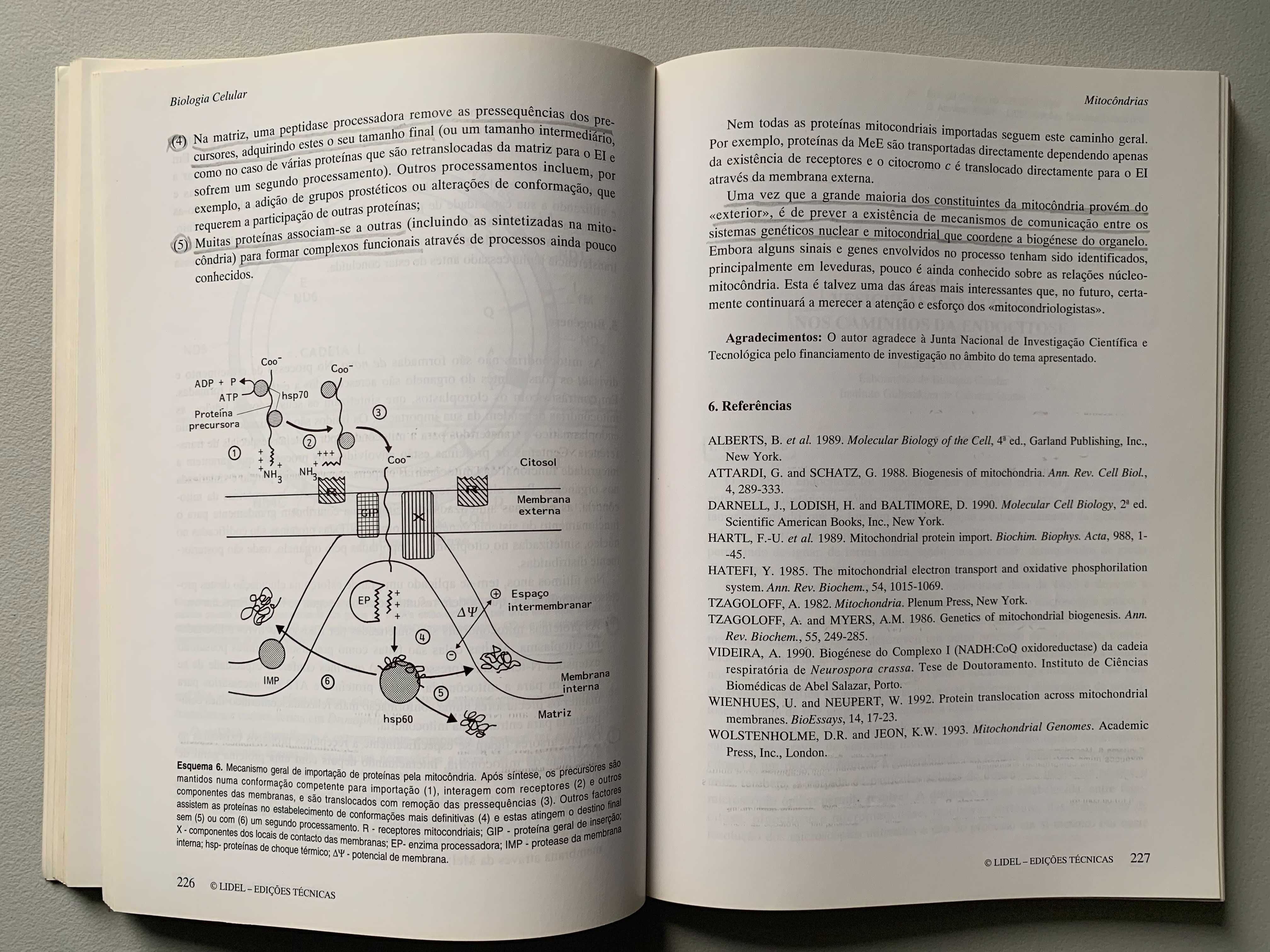 Biologia Celular, de Carlos Azevedo