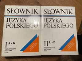 Słownik języka polskiego PWN A-P