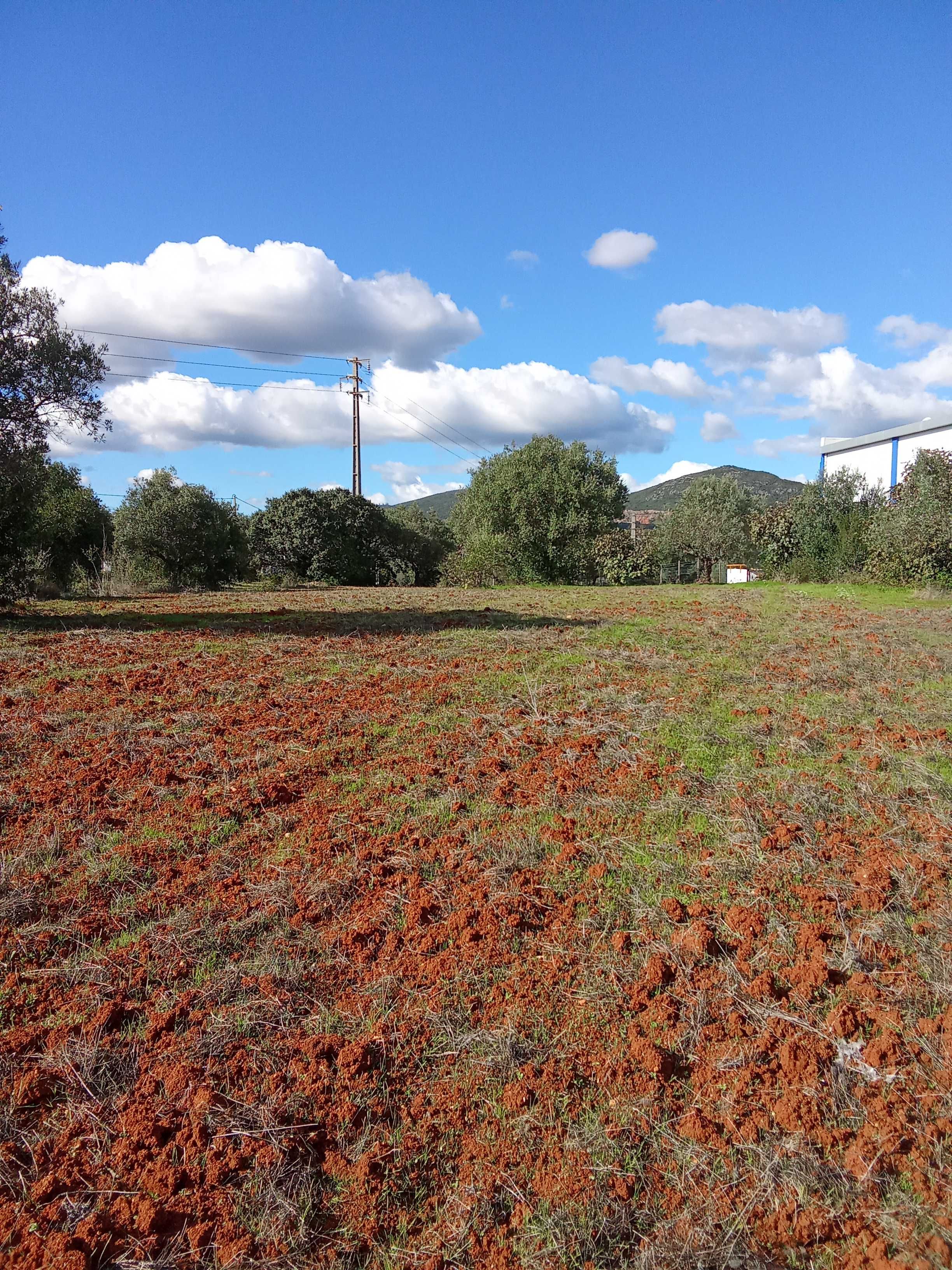 terreno para construçao em ALCANENA