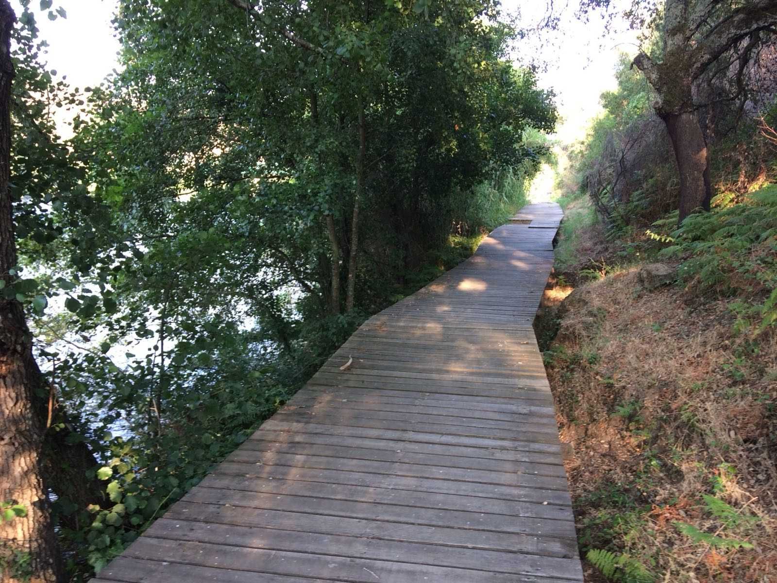 Terreno rústico idílico em Belver, rio Tejo e praia fluvial