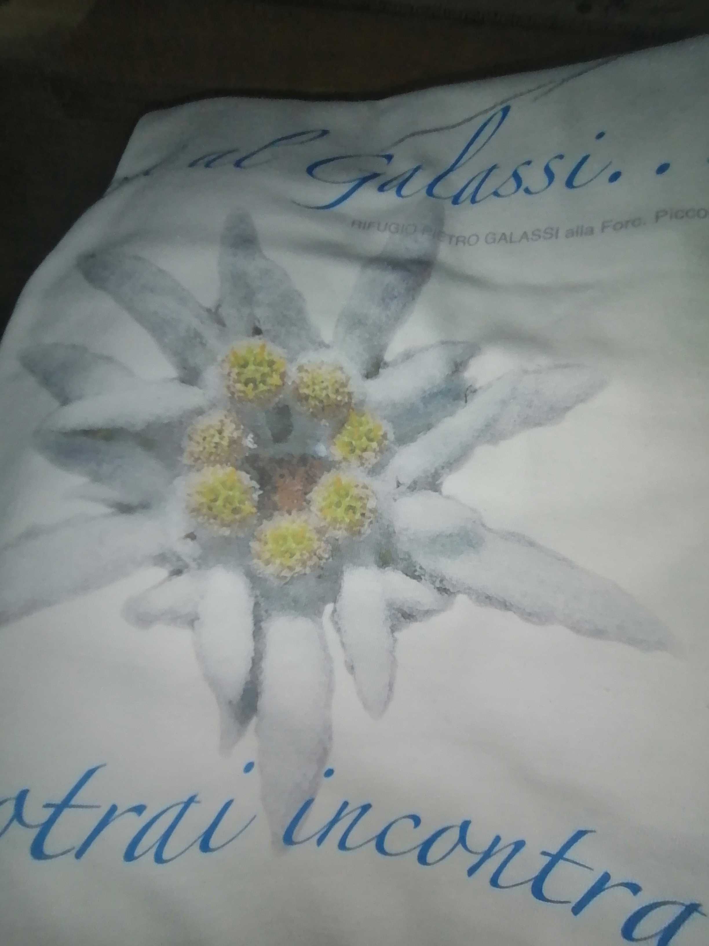 Szarotka Alpy Dolomity L/XL nowy T-shirt ze schroniska Galassi Włochy