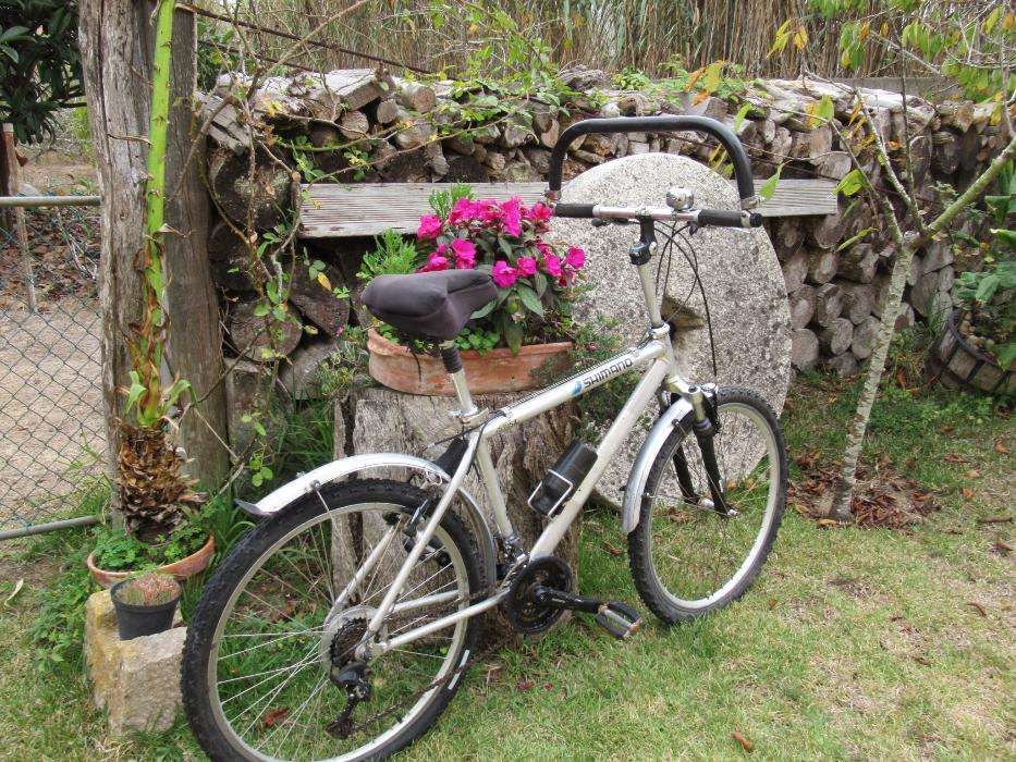 bicicleta de montanha