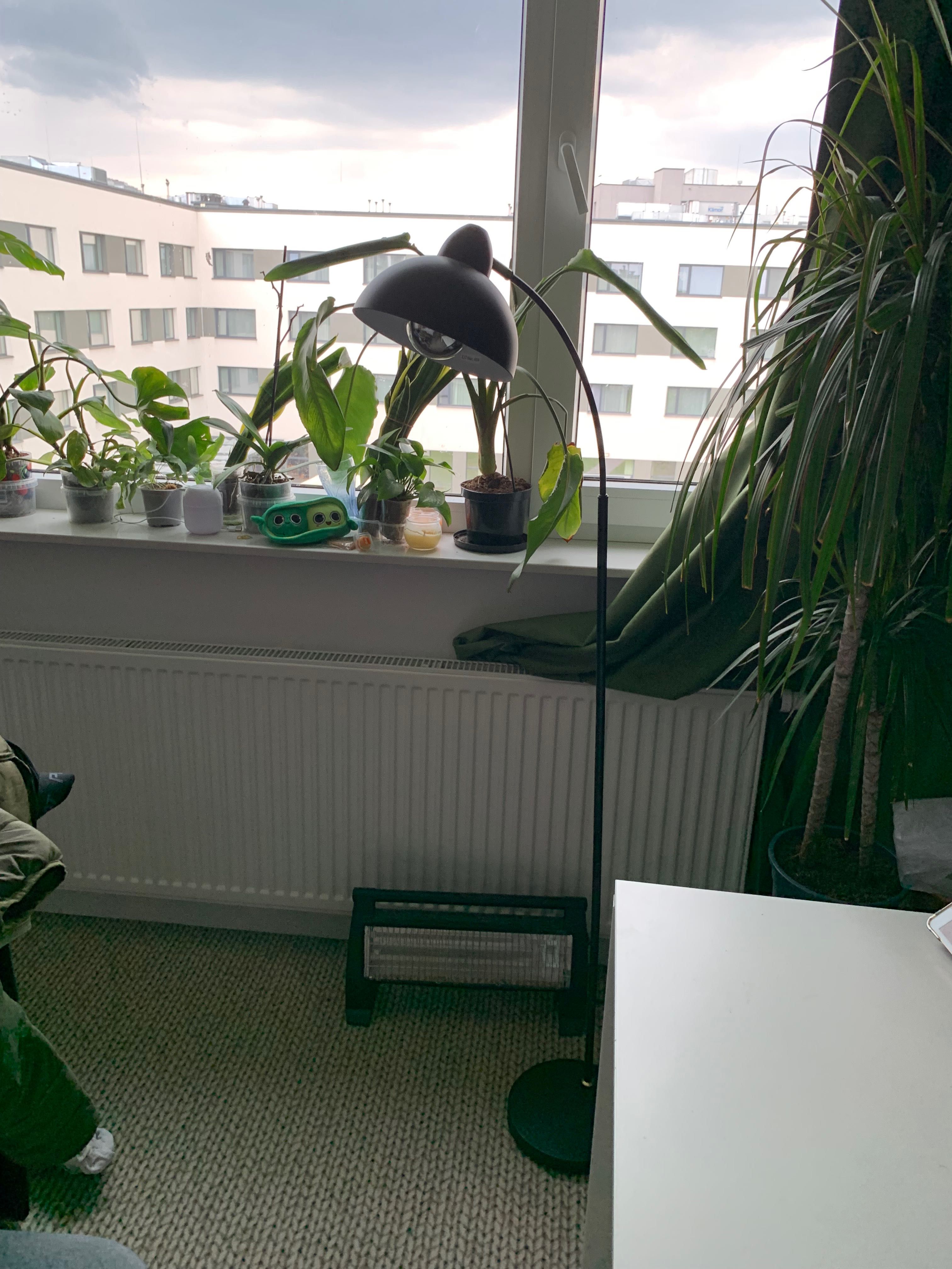 Lampa podłogowa hugo jusk jak nowa. Czarna lampa do wnętrz 154cm