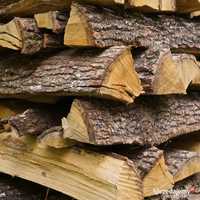 Drewno dębowe drzewo dąb opał do kominka lub pieca