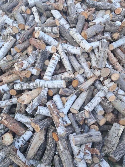 Drzewo,drewno opałowe,opał,kominkowe dąb, brzoza,akacja,sosna