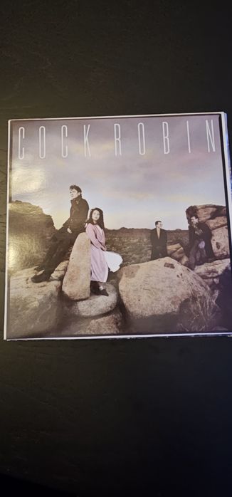 Disco Cock Robin