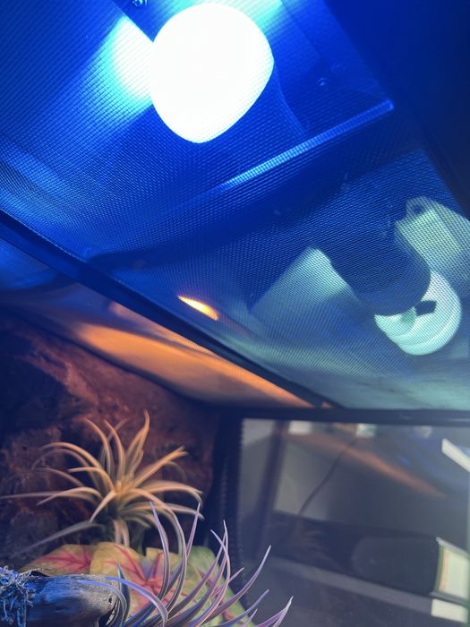 Terrarium Exo-Terra 60x45x45 + wyposażenie