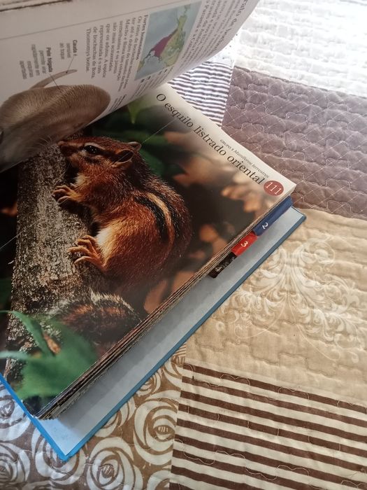 Fascinate mundo animal