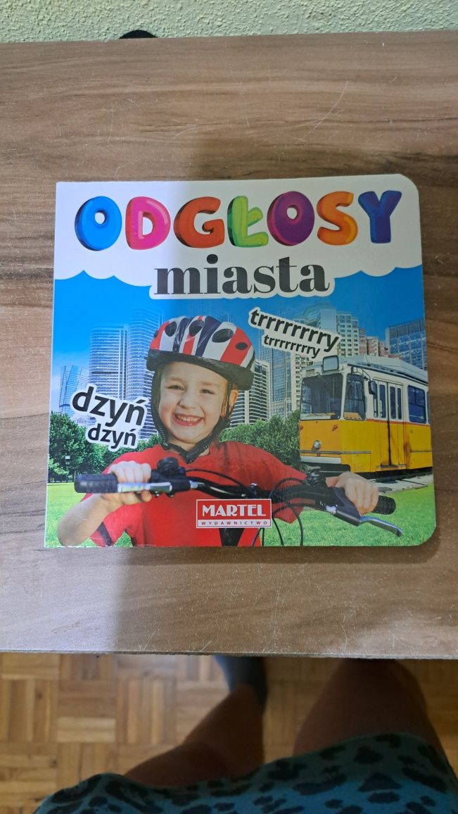 Książka odgłosy miasta