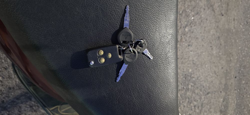 Speed gear Viper 49.9