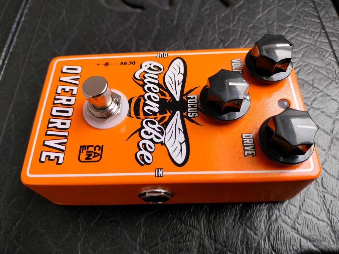 Caline Queen Bee Overdrive