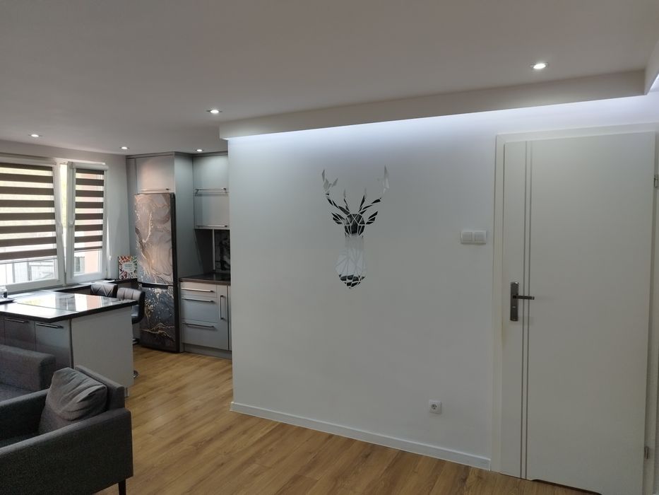 Wynajmę mieszkanie 42 m2 z garażem i ogrodem !