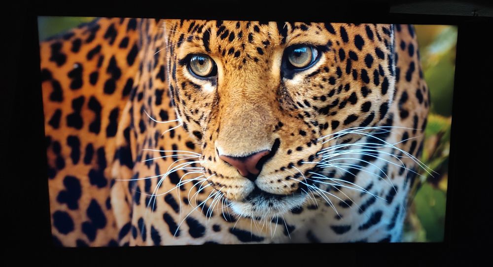 Телевізор  LG  43", SmartTV,  YouTube