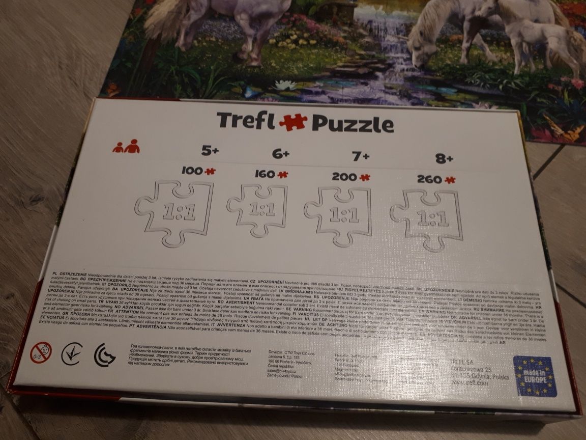 Puzzle Trefl 100
