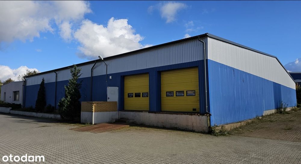 Hala magazynowa wysokiego składowania z rampą w Chwaszczynie