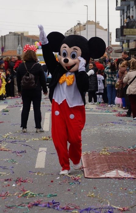 Panda / Mickey / Cão - mascotes de adulto
