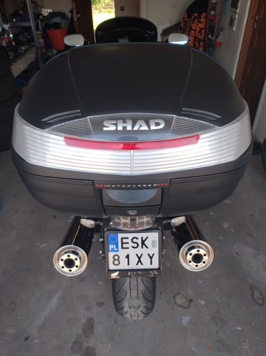 Kufer centralny shad SH37