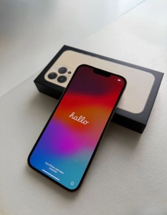 Iphone 13 pro (silver)