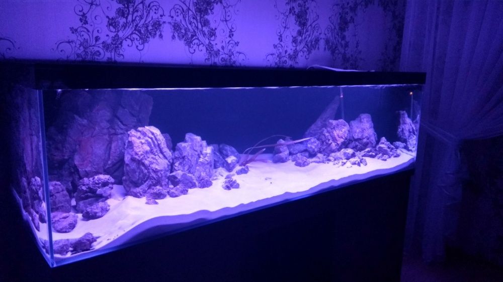 Aranzacja iwagumi unikalny kamien