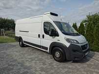 Ducato Maxi L4 H2 chłodnia, nowy silnik wtryski