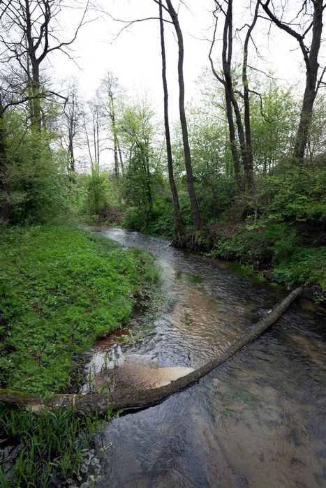 Domek letniskowy nad rzeką weekend noclegi Jura jacuzzi WOLNY WRZESIEŃ