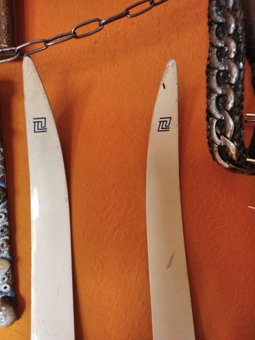 Лижі бігові Fischer з палицями і ботинками 39