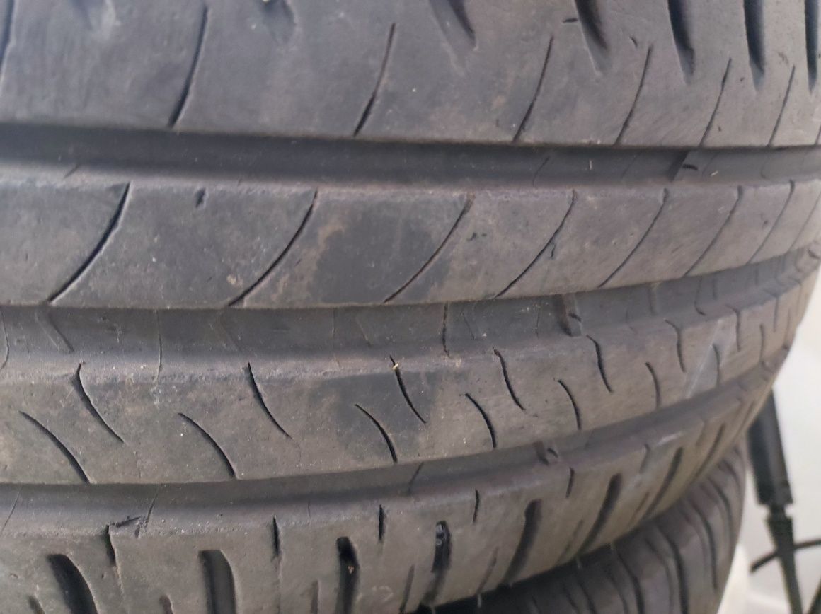 Opony Michelin Focus  205/55R16