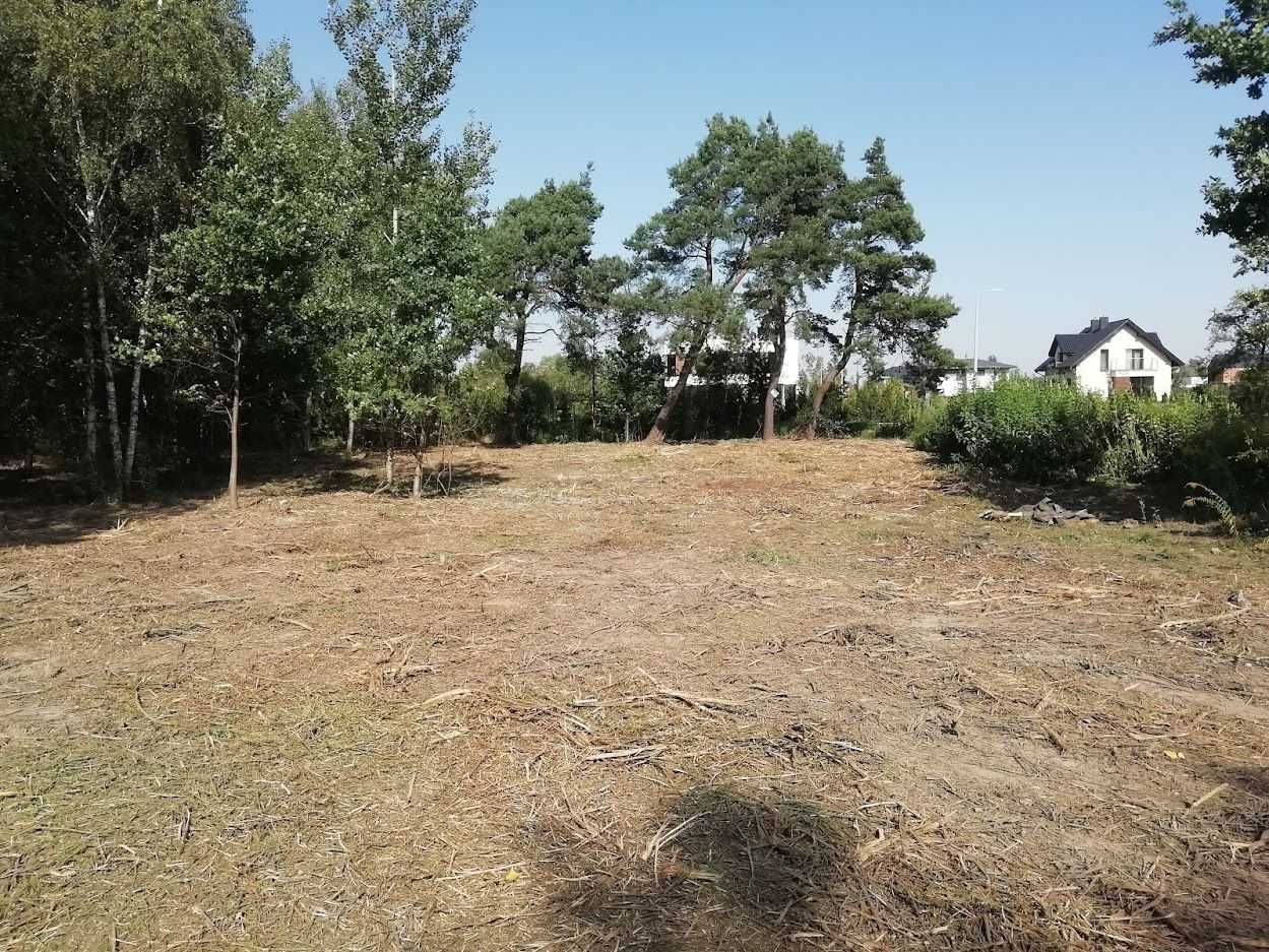 Pielęgnacja i wycinka drzew