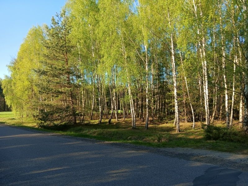 Sprzedam las 3,26 ha Gąsocin
