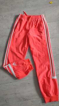 Spodnie dresowe, dresy, adidas,12 lat,140-146