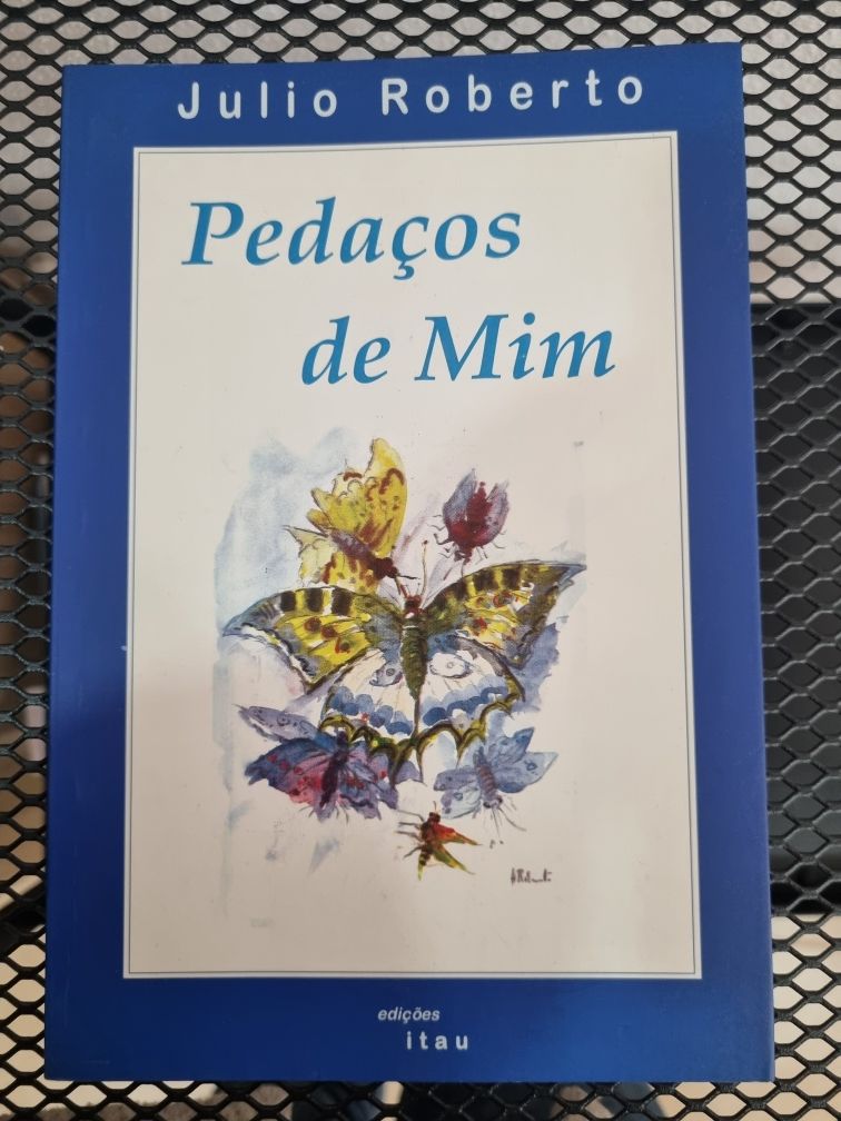 Pedaços de mim poesias