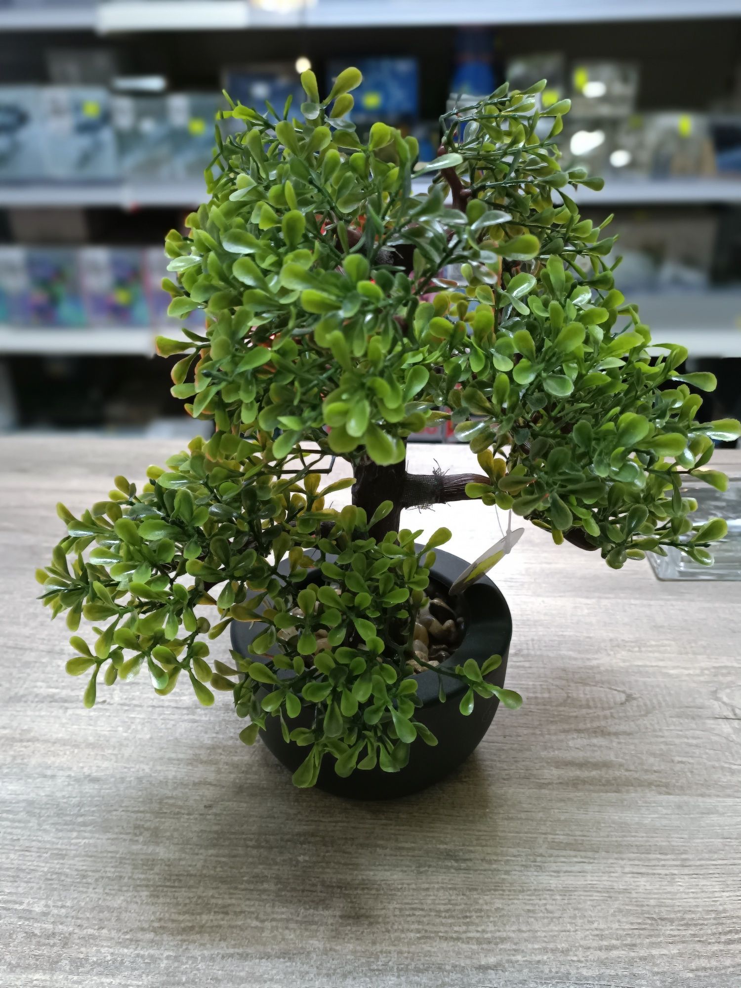 Sztuczne drzewo bonsai