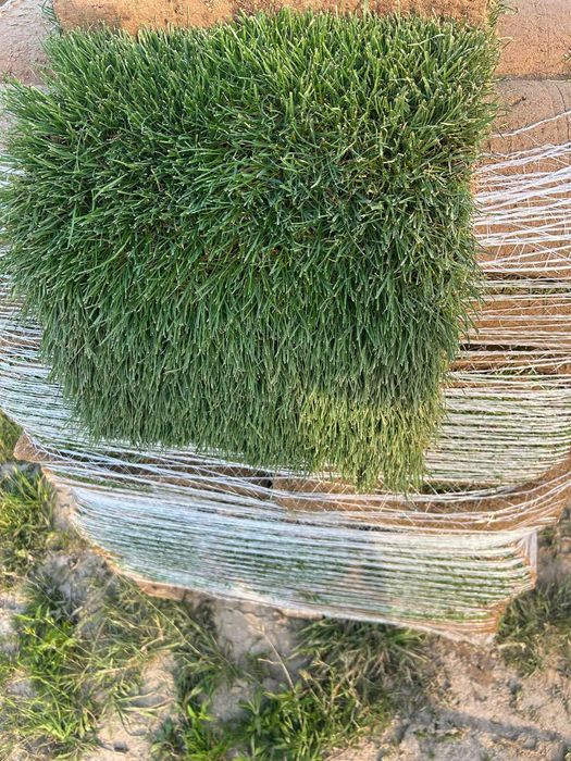 Trawa z rolki, trawa rolowana - najwyższa jakość - plantacja Lublin