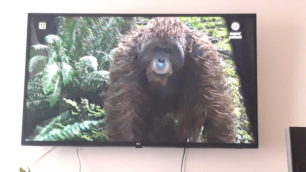 Tv LG 50cali 4K UHD smart tv HDR10  wi-fi  WebOS  Bluetooth