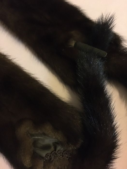 Горжетка норковая