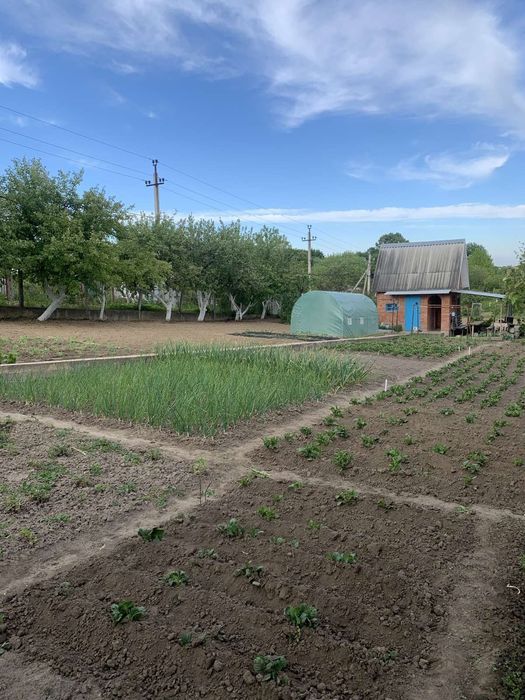 Продам дачу в Зарванцях