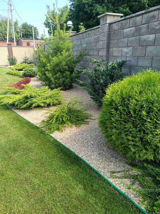 Ландшафтный дизайн, садовник, газон, растения